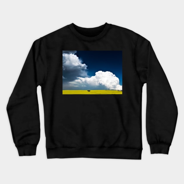 Storm over canola field Crewneck Sweatshirt by CanadianWild418